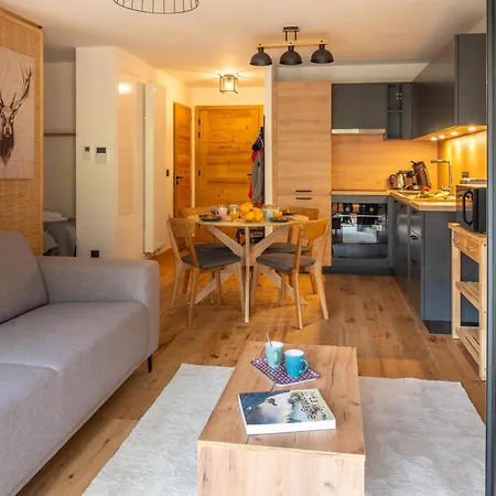 Cairn Harmony A109 Les Gets